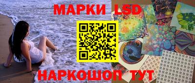 МДПВ Бердск