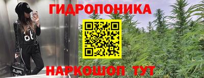 МДПВ Бердск