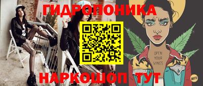 МДПВ Бердск