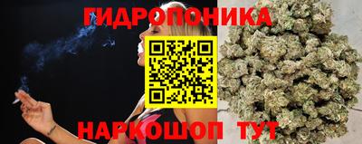МДПВ Бердск