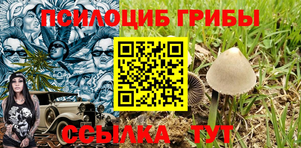 наркотики  Псилоцибиновые грибы ЛСД  Джанкой  Вход с VPN  Галлюциногенные грибы Magic Shrooms 